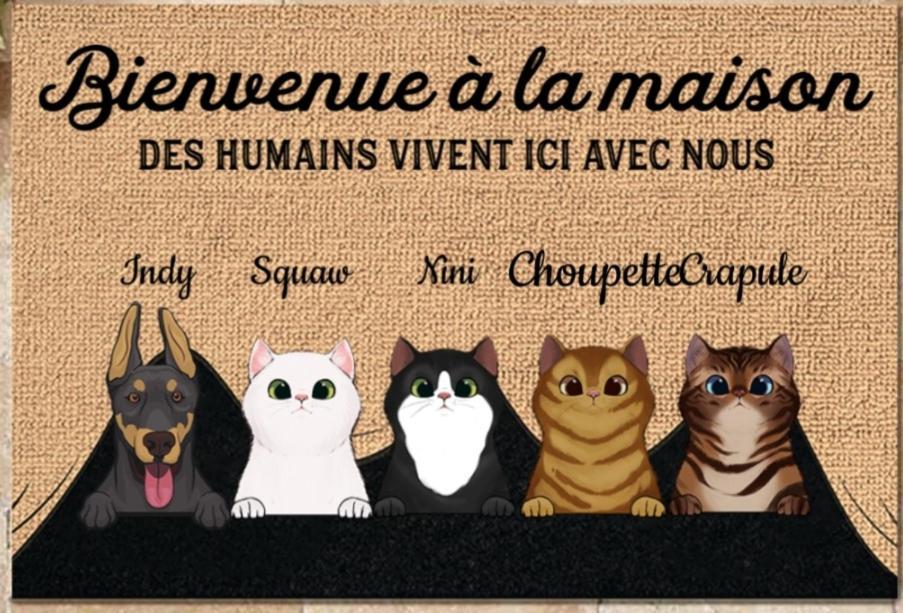 Chez Sophie Et Thibault Hotell Sceaux-du-Gatinais Exteriör bild